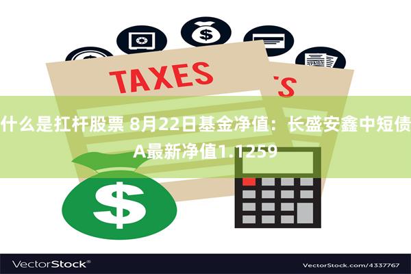 什么是扛杆股票 8月22日基金净值：长盛安鑫中短债A最新净值1.1259