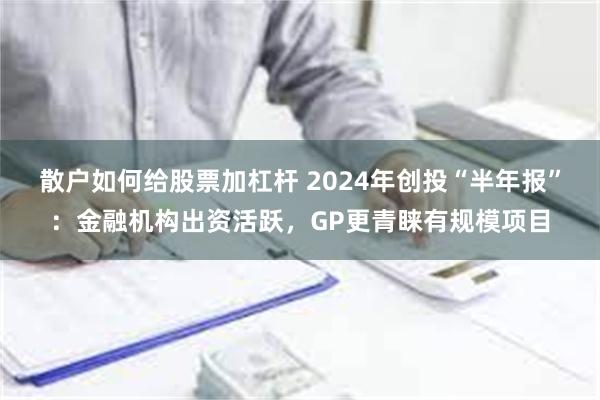 散户如何给股票加杠杆 2024年创投“半年报”：金融机构出资活跃，GP更青睐有规模项目