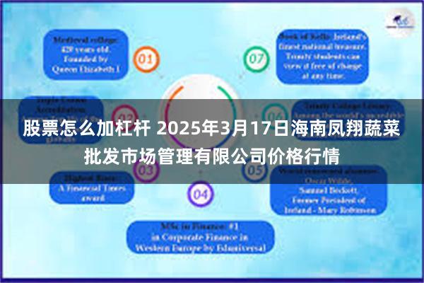 股票怎么加杠杆 2025年3月17日海南凤翔蔬菜批发市场管理有限公司价格行情